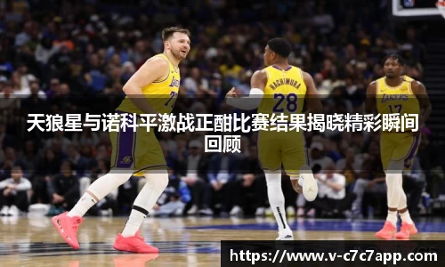 天狼星与诺科平激战正酣比赛结果揭晓精彩瞬间回顾